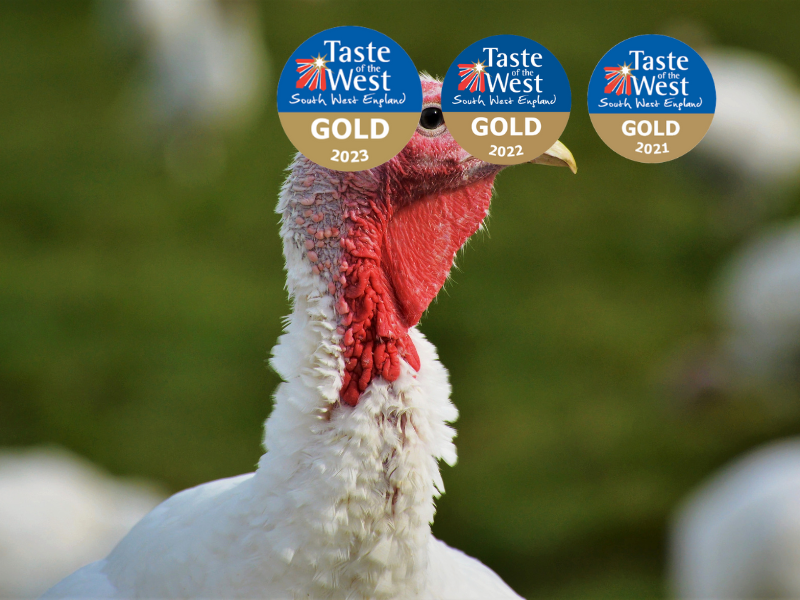 White Barn Turkey — slow grown free range, Trembleathe Barton, Cornwall
